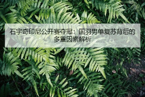 shi-yu-qi-yin-ni-gong-kai-sai-duo-guan-guo-yu-nan-dan-fu-su-bei-hou-de-duo-zhong-yin-su-jie-xi-2-737.jpg