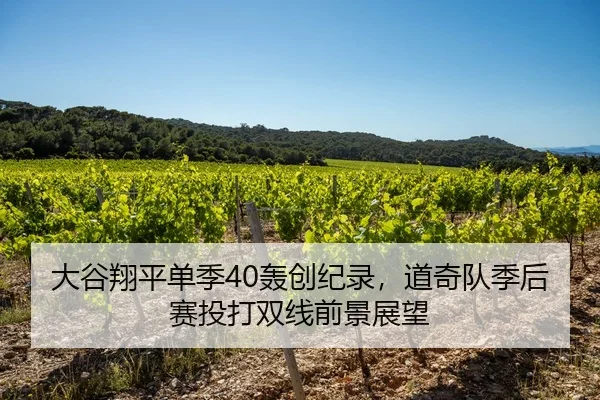 大谷翔平单季40轰创纪录，道奇队季后赛投打双线前景展望